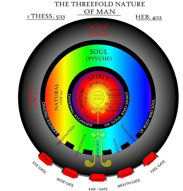 Humans have three parts: Body, Soul, and Spirit