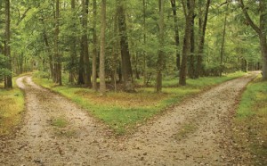 Two Roads Diverged in the Woods