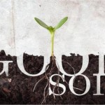 Bad People = Good Soil