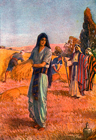 Ruth harvesting grain