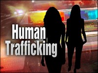 Human Trafficking Media