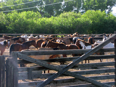 Horse Corral Bounded Set