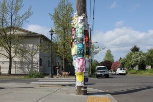 flyers on telephone pole