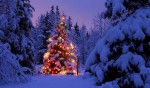 Christmas Tree Snow