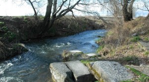 Lydia by the River