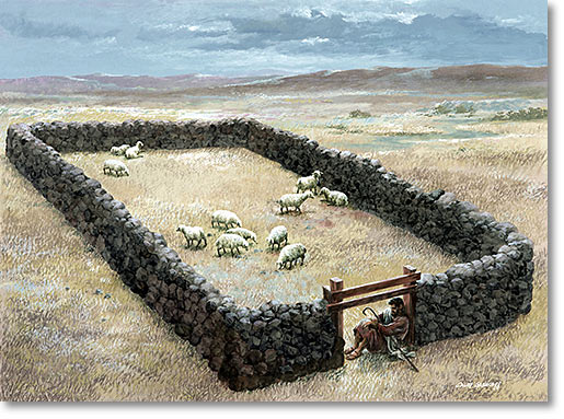 Who are the Sheep not of this Sheepfold?