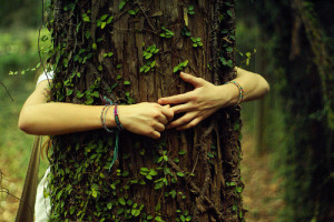 tree huggers