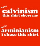 Do you want a blog series on Calvinism?