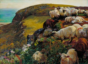 wayward sheep Isaiah 53 6