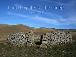 I am the door for the sheep