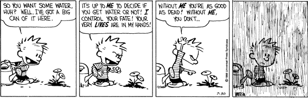 Illusion of control Calvin