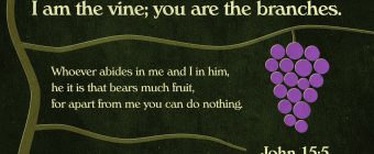 John 15 vine and branches