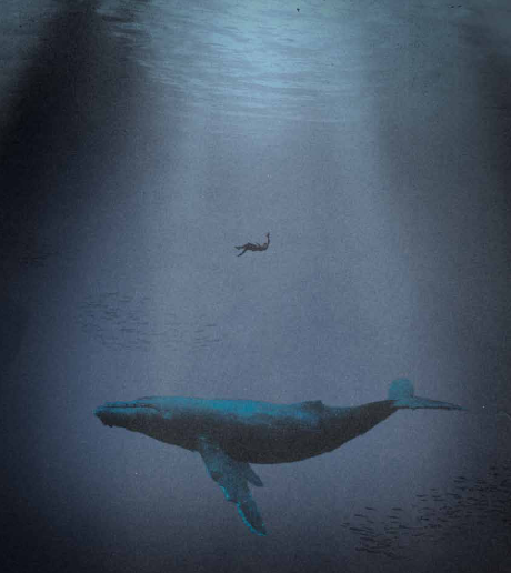 Jonah 2:2 – Jonah Went to Hell