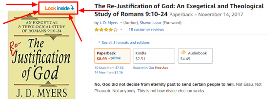 The Re-Justification of God