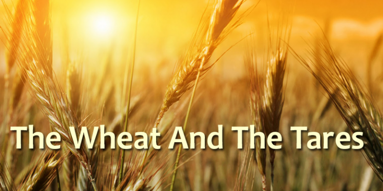 The Parable Of The Wheat And The Tares (Matthew 13:24-30) - Salvation ...